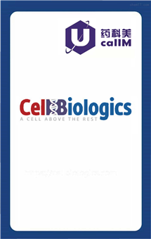 无锡药科美生物公司代理Cell biologics