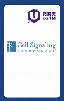 无锡药科美生物公司代理Cell signal