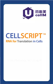 无锡药科美生物公司代理cellscript
