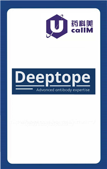 无锡药科美生物公司代理deeptope