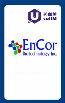 无锡药科美生物公司代理encorbio