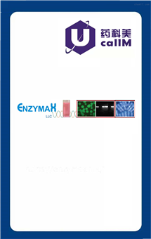 无锡药科美生物公司代理Enzymax