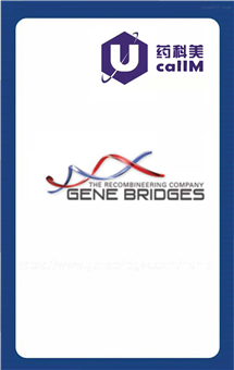 无锡药科美生物公司代理genebridges