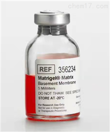 BD Matrigel基底膜/基质胶*