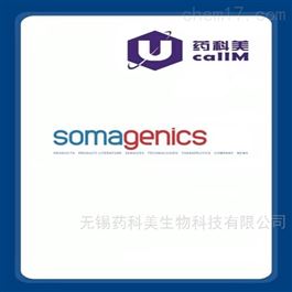 SomaGenics特约代理