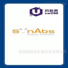 synabs特约代理