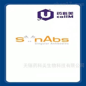 synabs特约代理
