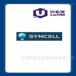syncell特约代理