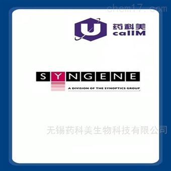 syngene特约代理