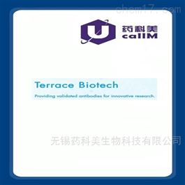 Terrace Biotech特约代理