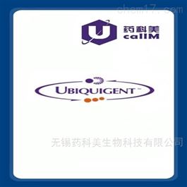 ubiquigent特约代理