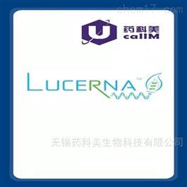 lucernatechnologies特约代理