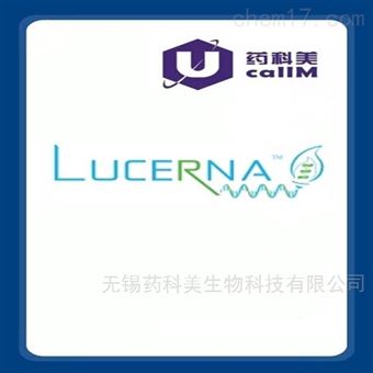 lucernatechnologies特约代理