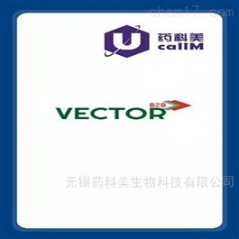 vectorb2b特约代理