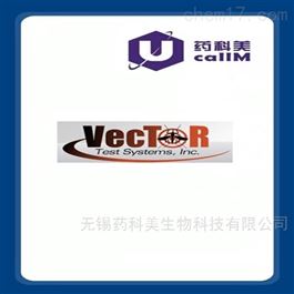 vectortest特约代理