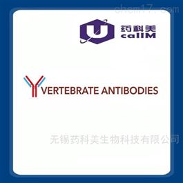 Vertebrateantibodies特约代理