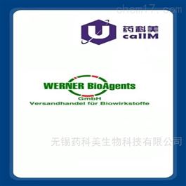 webioage特约代理
