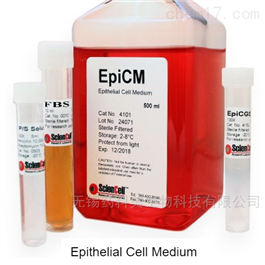 4101上皮细胞培养基 EpiCM