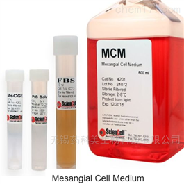 肾系膜细胞培养基 MCM