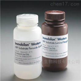 Immobilon Western 化学发光 HRP 底物