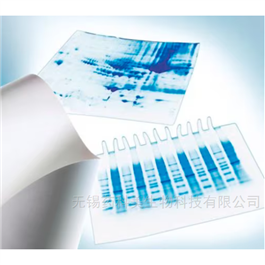 millipore PVDF膜 IPVH00010