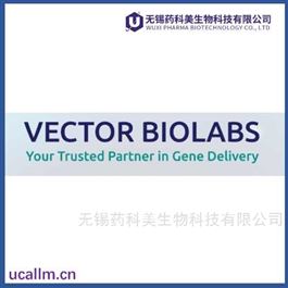 Vector Biolabes中国代理