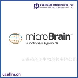 MicroBrain全国代理