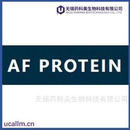 A/F Protein 全国代理