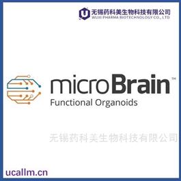 micro-Brain全国代理